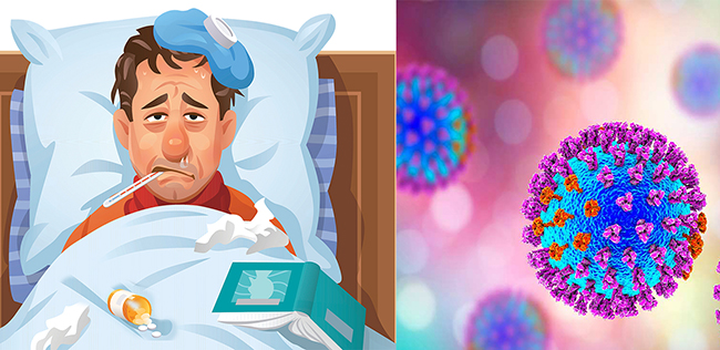 Influenza (gripe)  Su comprensión en una pandemia