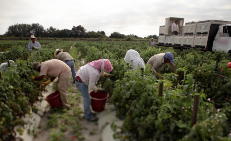 Programa de visas para trabajadores extranjeros enfrenta incertidumbre bajo el segundo mandato de Trump