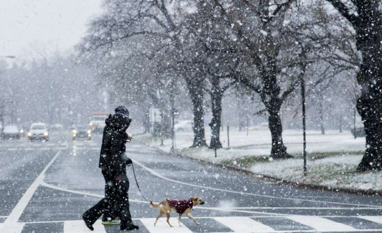 Frío extremo en Estados Unidos: Cuántos tipos de nieve existen y cuál es la  más peligrosa para los seres humanos - El Diario NY