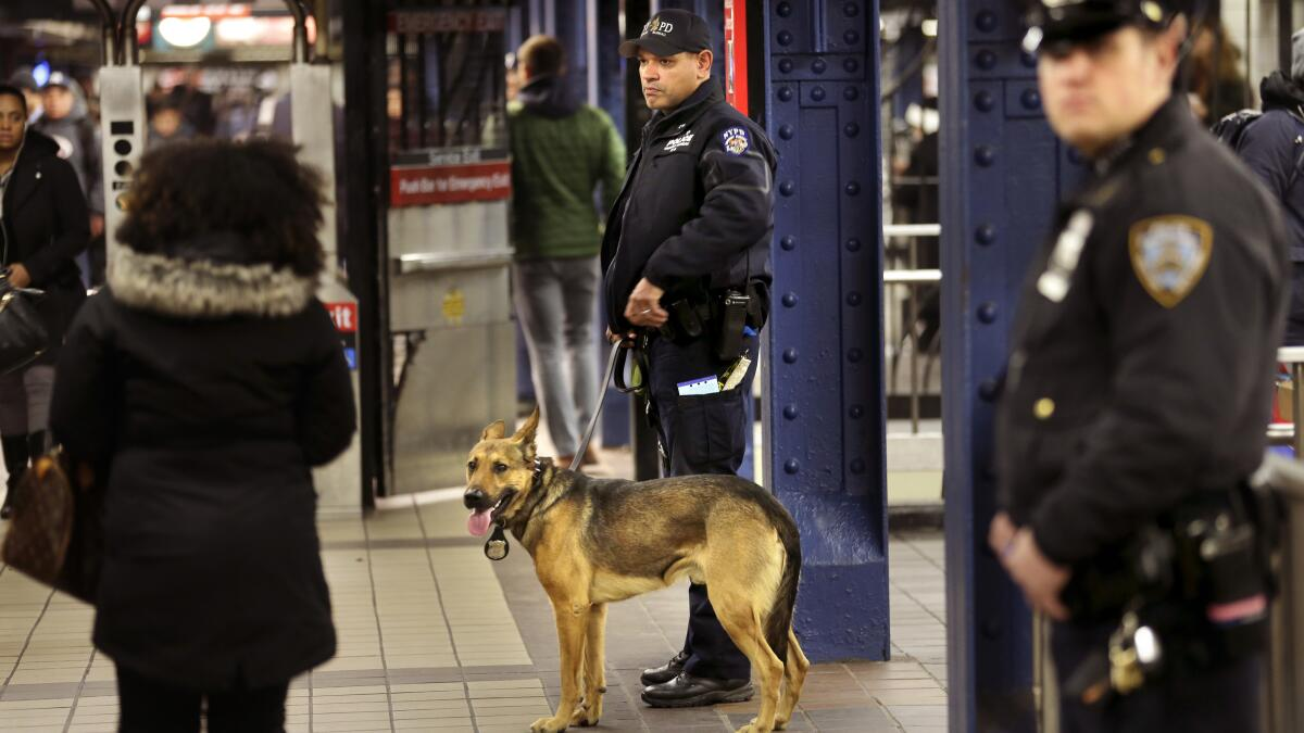 NYPD despliega cientos de policías al sistema de metro para frenar la evasión de tarifas