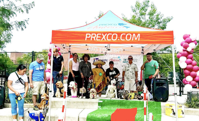 American Dog Cup, la otra Copa América, se celebró en Jackson Heights