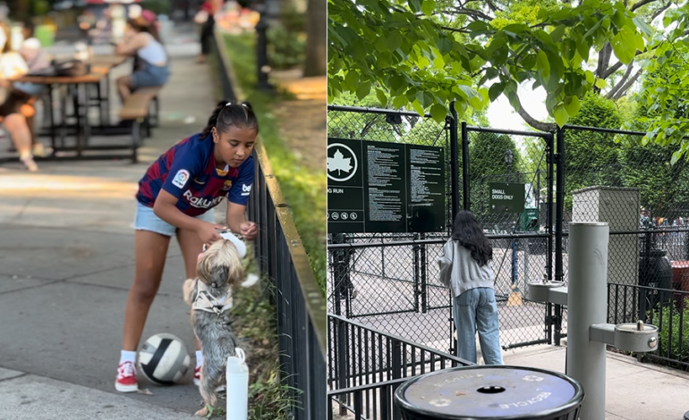 Por quinto año, los perritos disfrutarán ‘otro verano en Travers Park’