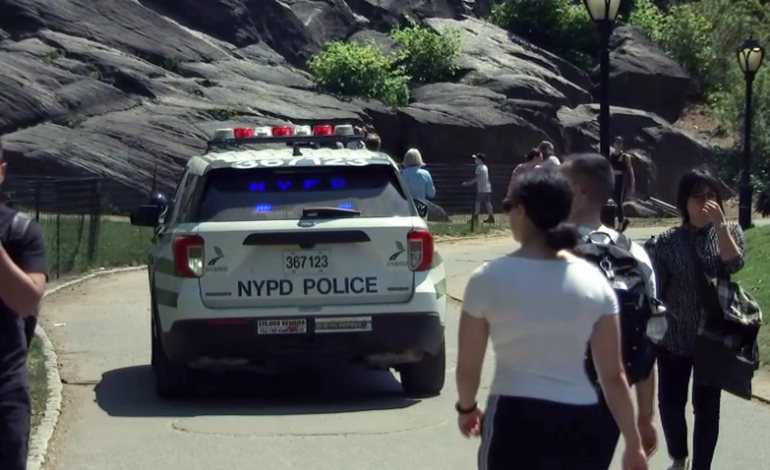 En cuestión de horas reportan otro robo en Central Park