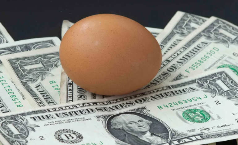 Hasta $9 la docena: ¿Hasta cuánto puede llegar el precio de los huevos en EEUU?