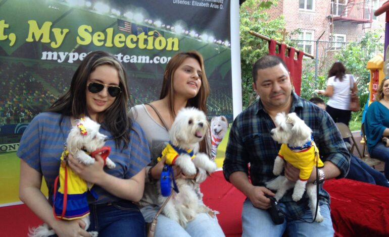 Beneficios tributarios si tiene perros y/o gatos en NY